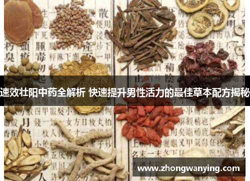 速效壮阳中药全解析 快速提升男性活力的最佳草本配方揭秘